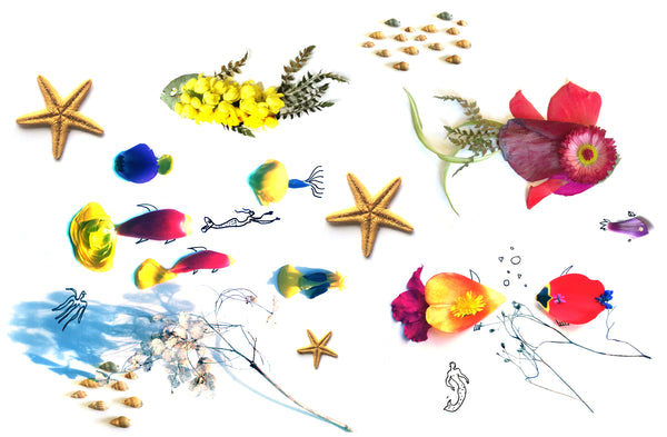 seascape illustration, yellow fish, red fish, starfish. blue fish