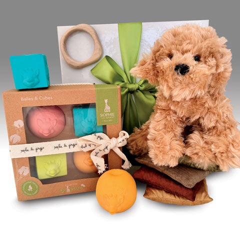 Building a Day—Sensory Baby Gift