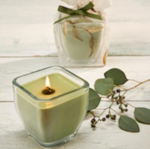Holiday GIft - Eucalyptus Soy Candle